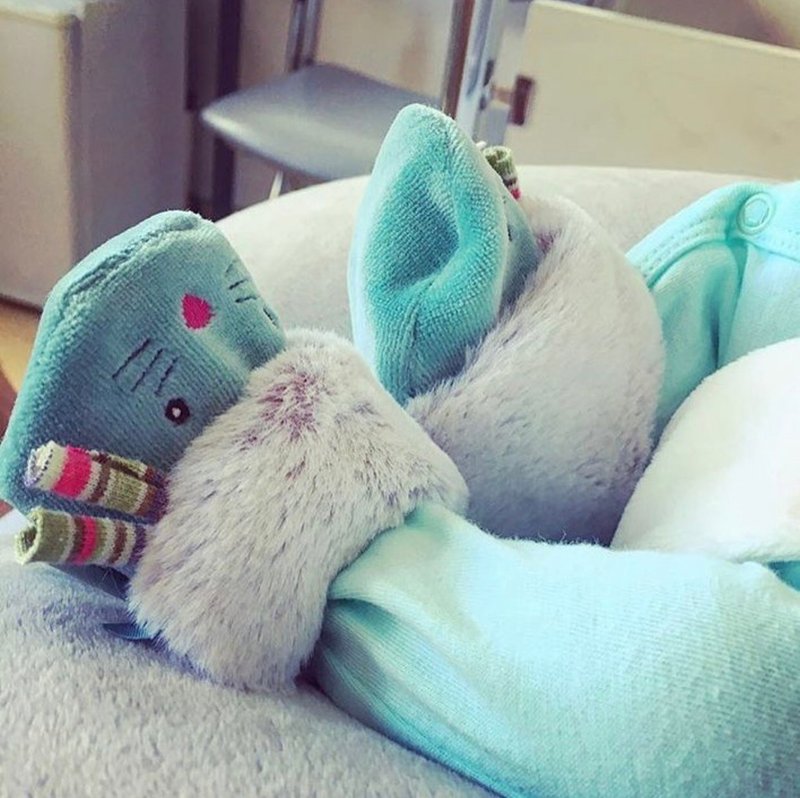 フレンチ ムーラン ロティ パチ ベビー フル 暖かい 靴カバー ギフト ボックス セット 0-6ヶ月 - ベビーシューズ - コットン・麻 グリーン