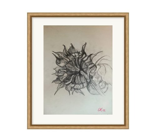 古典收集繪畫 Lovely Life - Floral Original Painting Sunflower, Botanical Illustration, Summer