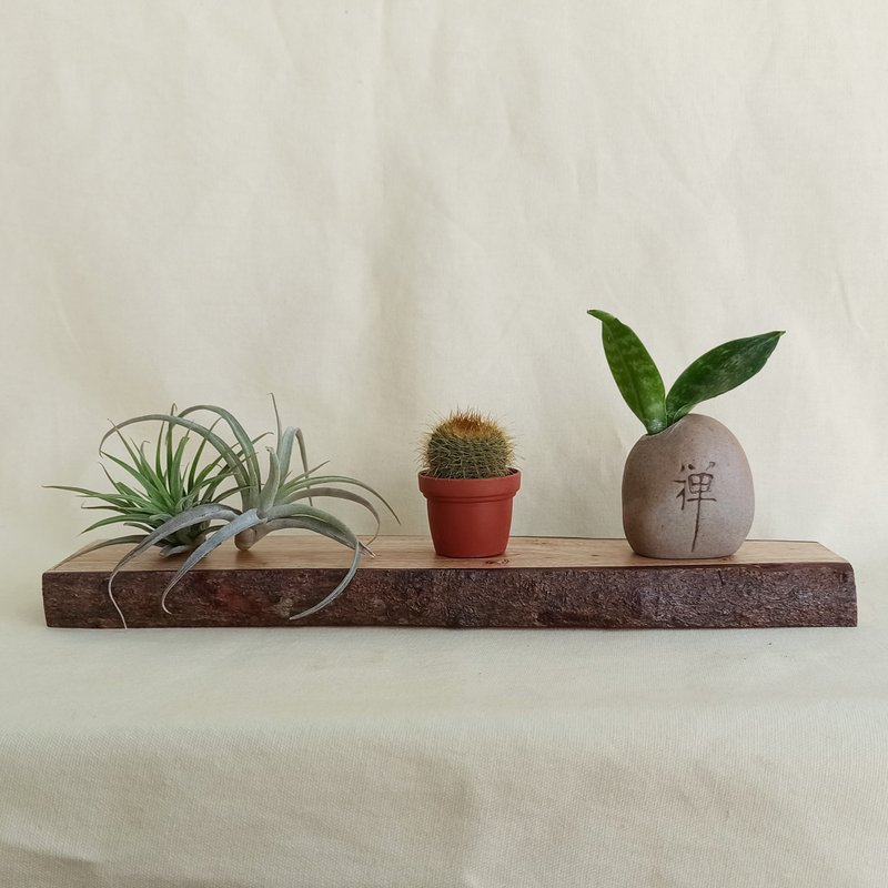 【原木座台】-桃花心木(尺寸28x7x2CM) - 擺飾/家飾品 - 木頭 卡其色