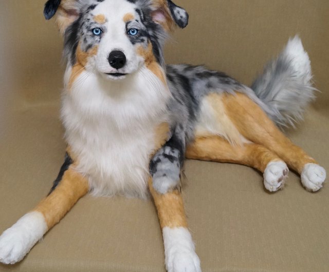 Australian shepherd stuffed clearance animal blue eyes