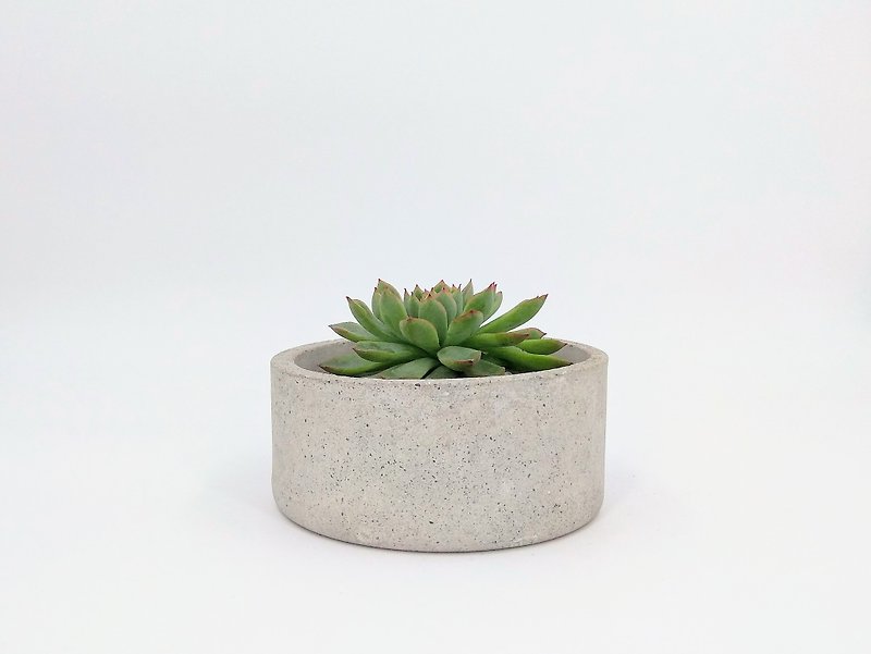 【Shallow round potted plant】Ceramic flower pot/Cement pot/Cement pot/Cement plant/Concrete pottery (Without plants. Stone. Soil) - Plants - Cement Gray