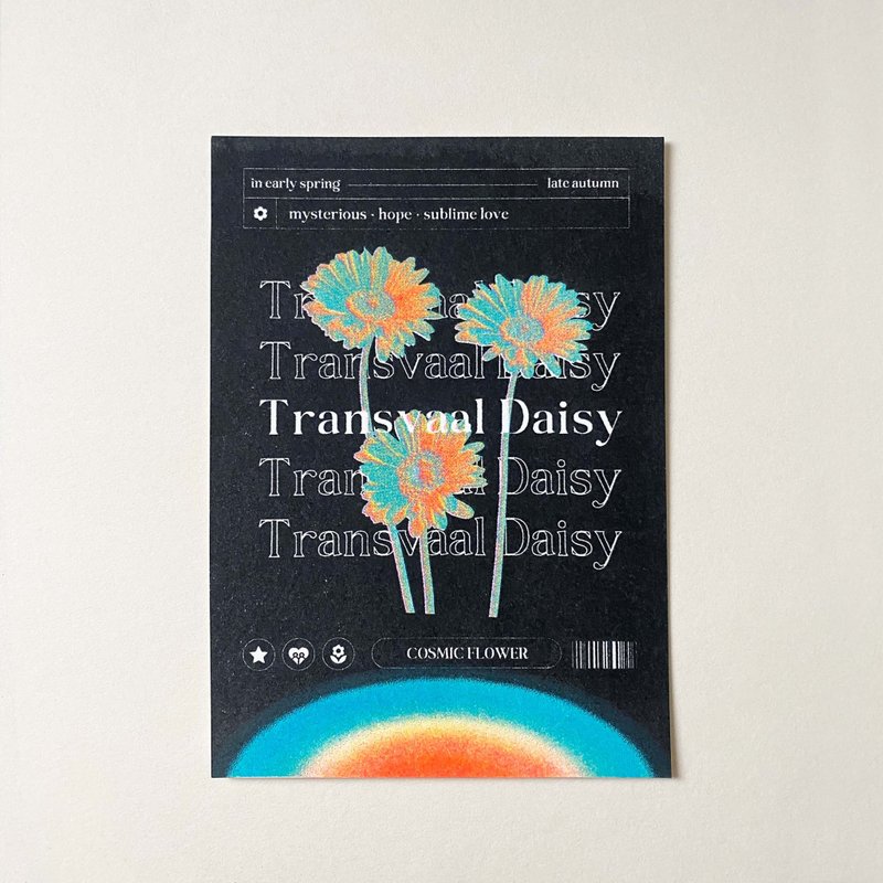 宇宙小花 Transvaal Daisy非洲菊款 孔版印刷 酷卡 明信片 - 卡片/明信片 - 紙 