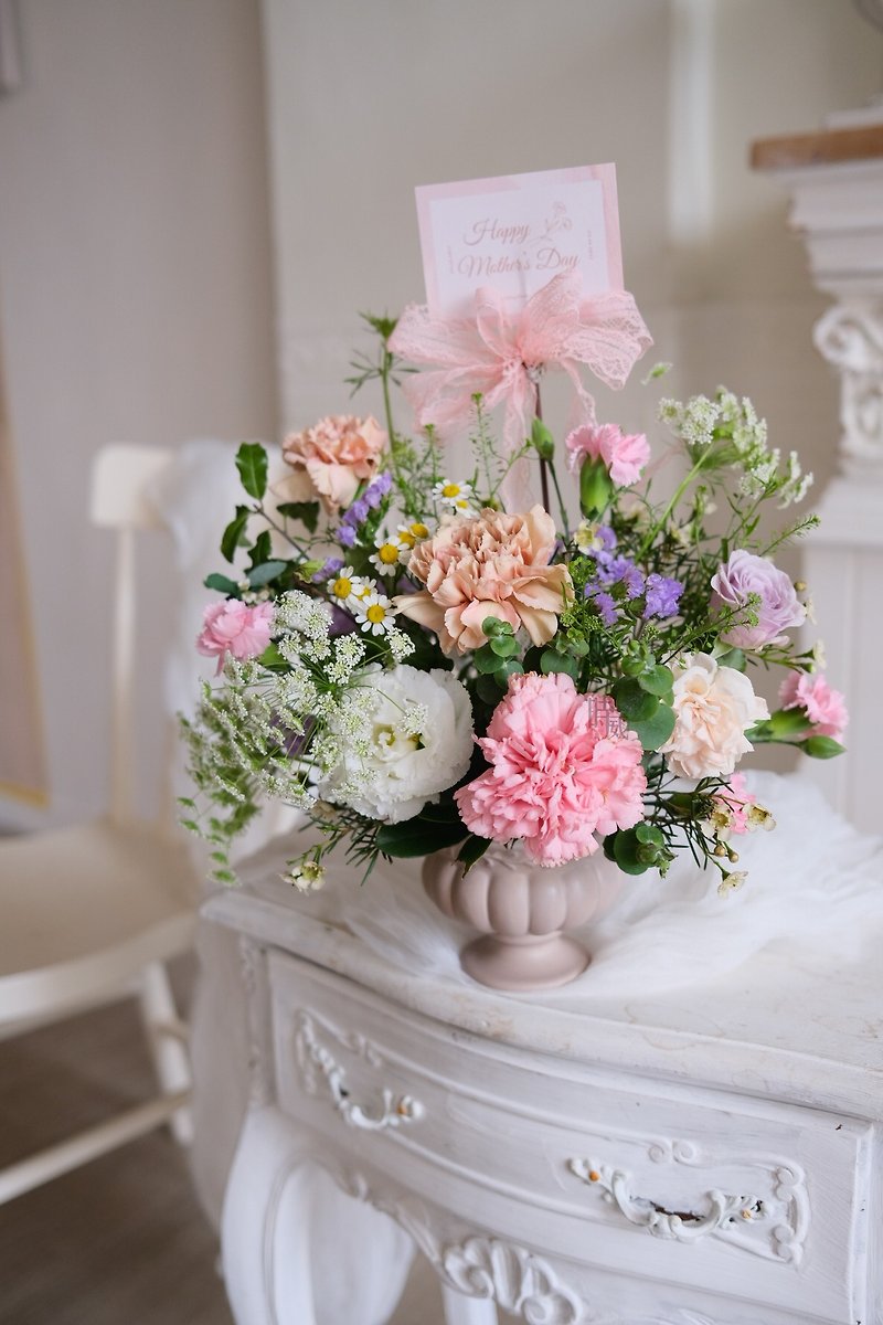 カーネーション お祝いの花 テーブル 植木鉢の花 - ドライフラワー・ブーケ - 寄せ植え・花 ピンク