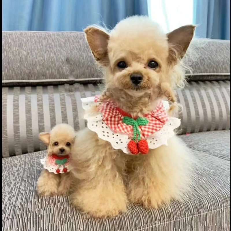 客製化逼真犬 羊毛氈 泰迪 寵物 娃娃 定製 手工 狗狗猫咪 163 - 貓/狗玩具 - 羊毛 多色