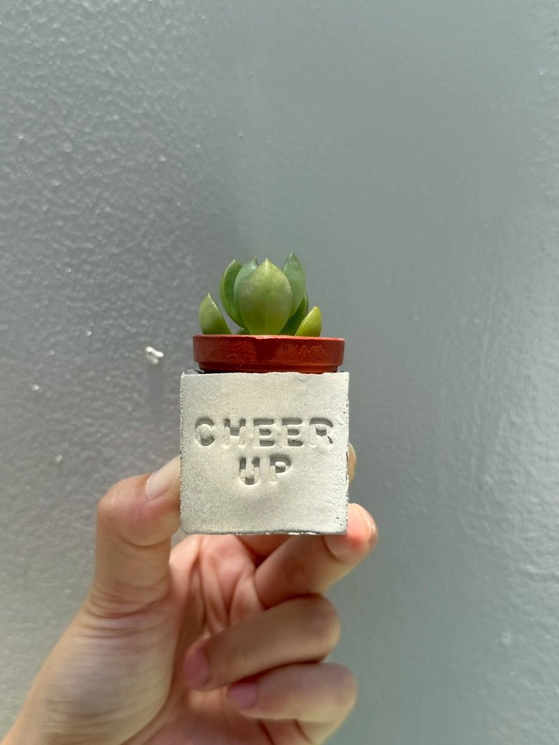 Cheer up加油！！多肉磁鐵盆栽 - 盆栽/植栽 - 水泥 