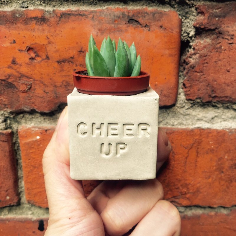 Cheer up, come on! ! Succulent Magnet Potted Plants - Plants - Cement 