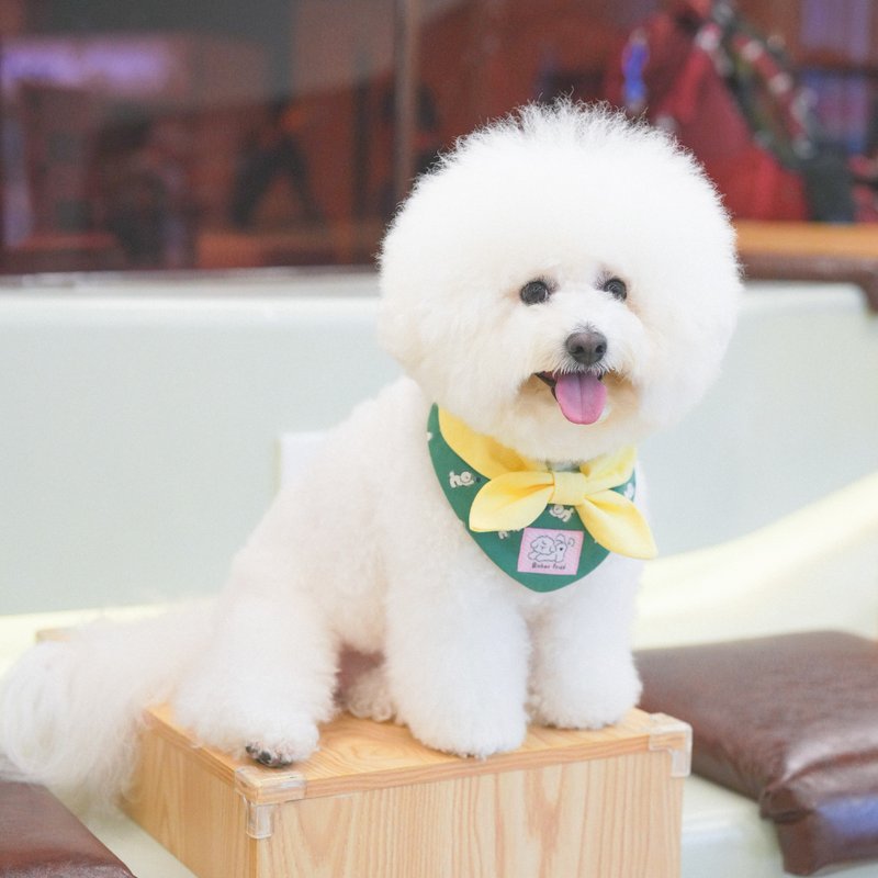 【Downy Bichon】拼色三角寵物圍兜 | Mobi Wardrobe - 寵物衣服 - 棉．麻 綠色