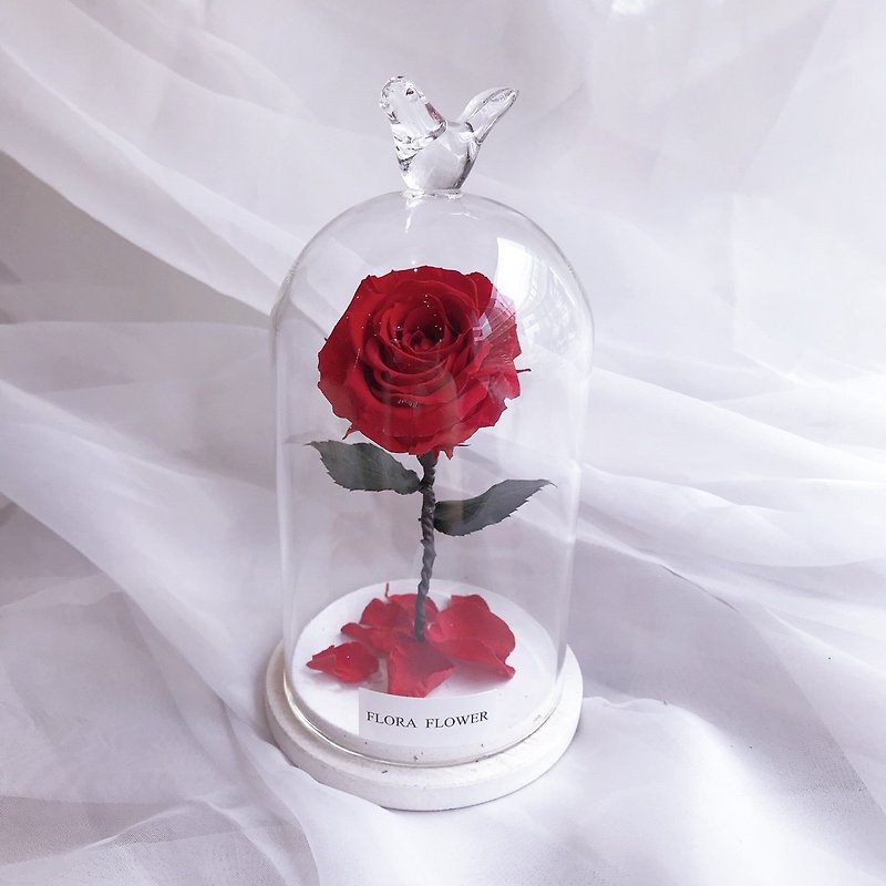 (Bright Red) Little Prince Eternal Flower Glass Cover Graduation Gift / Eternal Flower - ของวางตกแต่ง - พืช/ดอกไม้ สีแดง