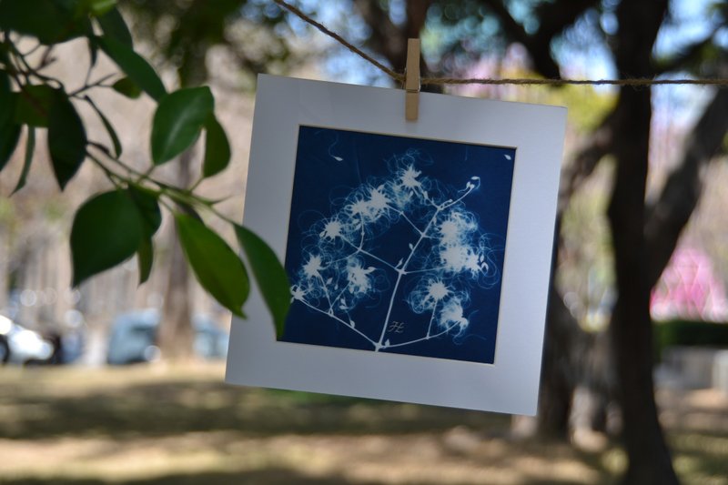 Botanic Cyanotype Framed Art Piece - ตกแต่งผนัง - กระดาษ สีน้ำเงิน