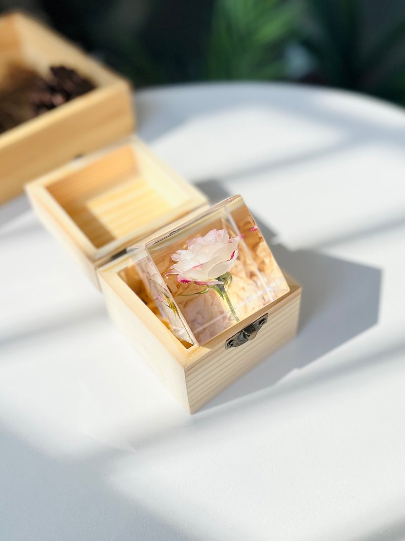 感動/銘記於心--粉色玫瑰折射泡泡 乾燥花標本禮品 - 擺飾/家飾品 - 樹脂 粉紅色