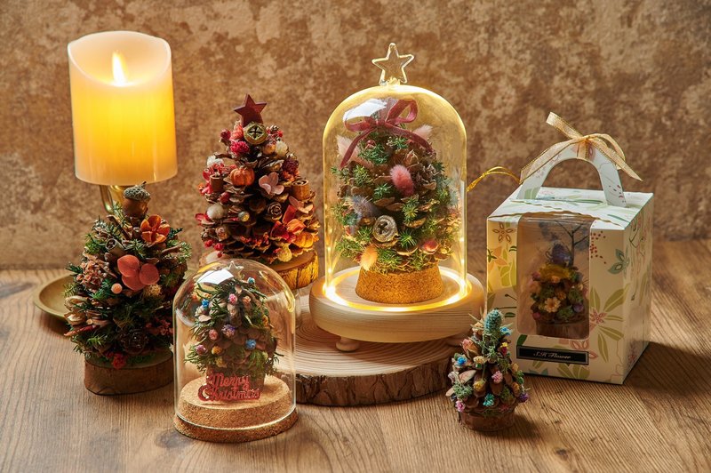 聖誕限定 松果聖誕樹/永生聖誕樹/聖誕樹/聖誕裝飾/聖誕儀式感 - 乾燥花/永生花 - 植物．花 