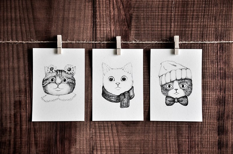 貓肖像系列卡片－阿花貓 / 圍巾貓 / 毛帽貓 / 明信片 - 心意卡/卡片 - 紙 白色