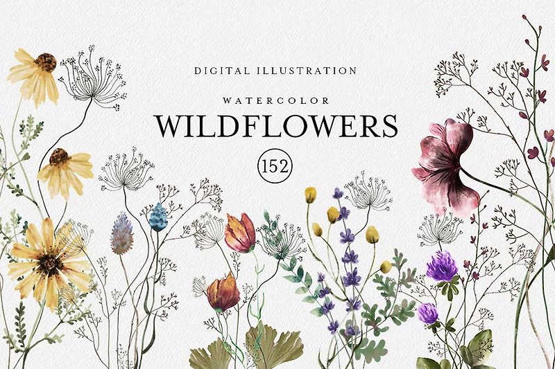 Watercolor Wildflowers. DIGITAL ILLUSTRATION.