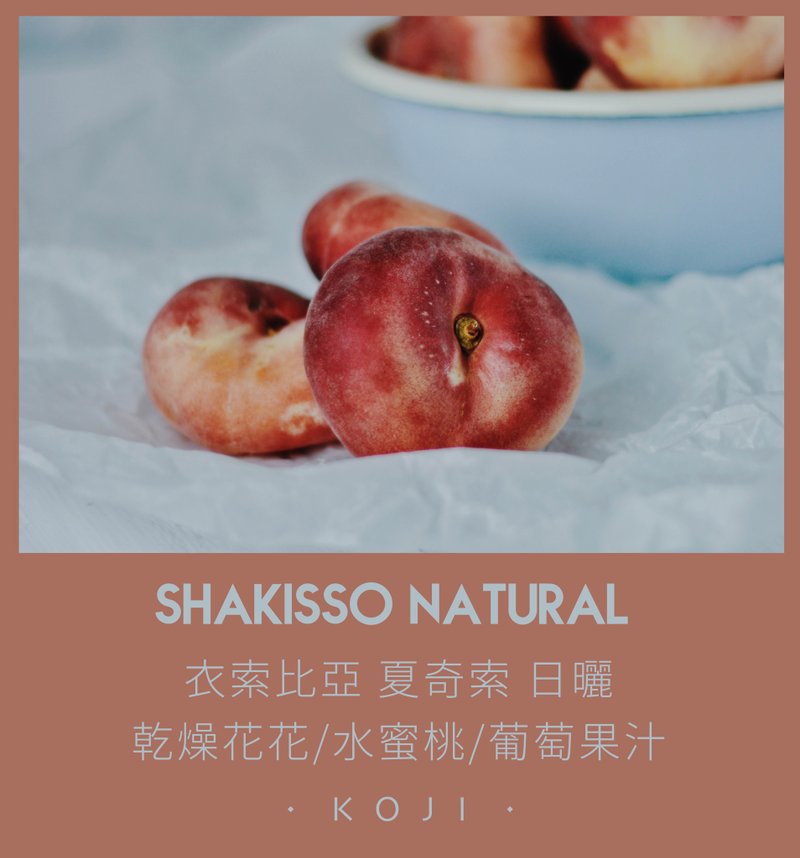 衣索比亞 夏奇索日曬 中深烘焙 魔魔拉莊園 咖啡豆 掛耳咖啡 - 咖啡/咖啡豆 - 新鮮食材 白色