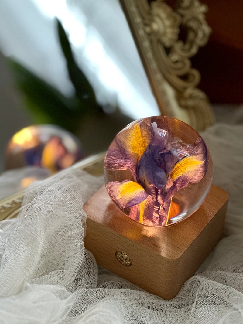 鳶尾花真花標本水晶球夜燈 - 燈具/燈飾 - 樹脂 紫色