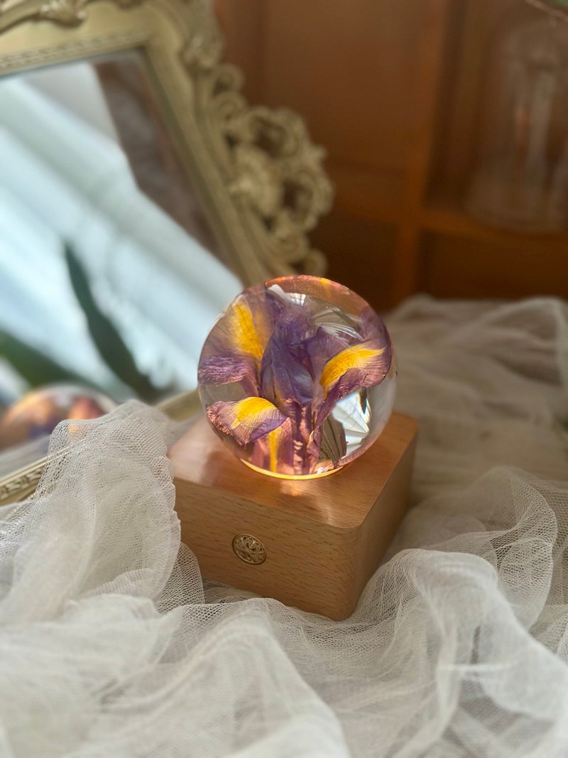 鳶尾花真花標本水晶球夜燈 - 燈具/燈飾 - 樹脂 紫色