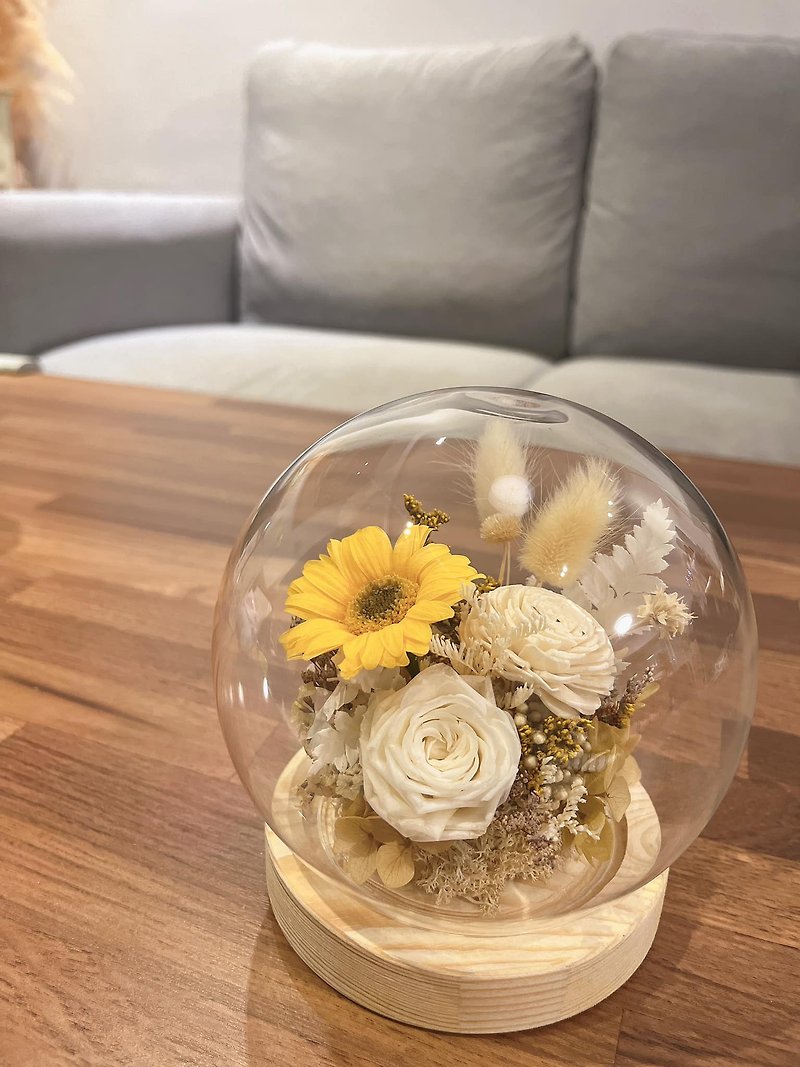 Warm sun immortal sunflower glass ball flower cup (middle) - Dried Flowers & Bouquets - Plants & Flowers 