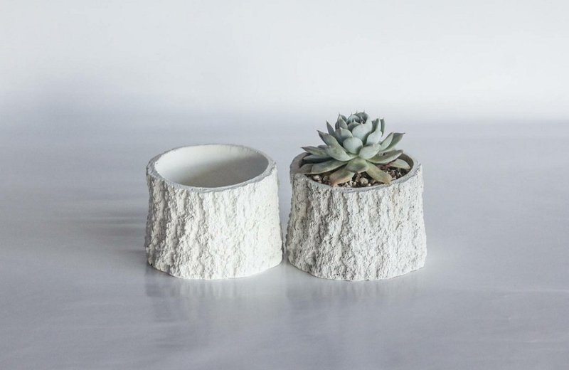 Cement potted flower pot succulent plant pot (without plants) tree pattern small pot - Plants - Cement 