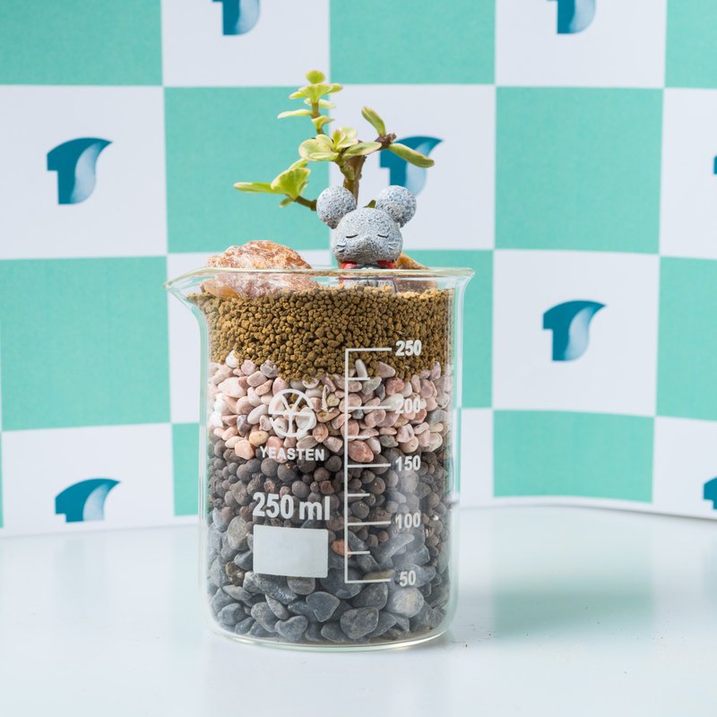 Wish-2020祈願燒杯 - 盆栽/植栽 - 植物．花 橘色