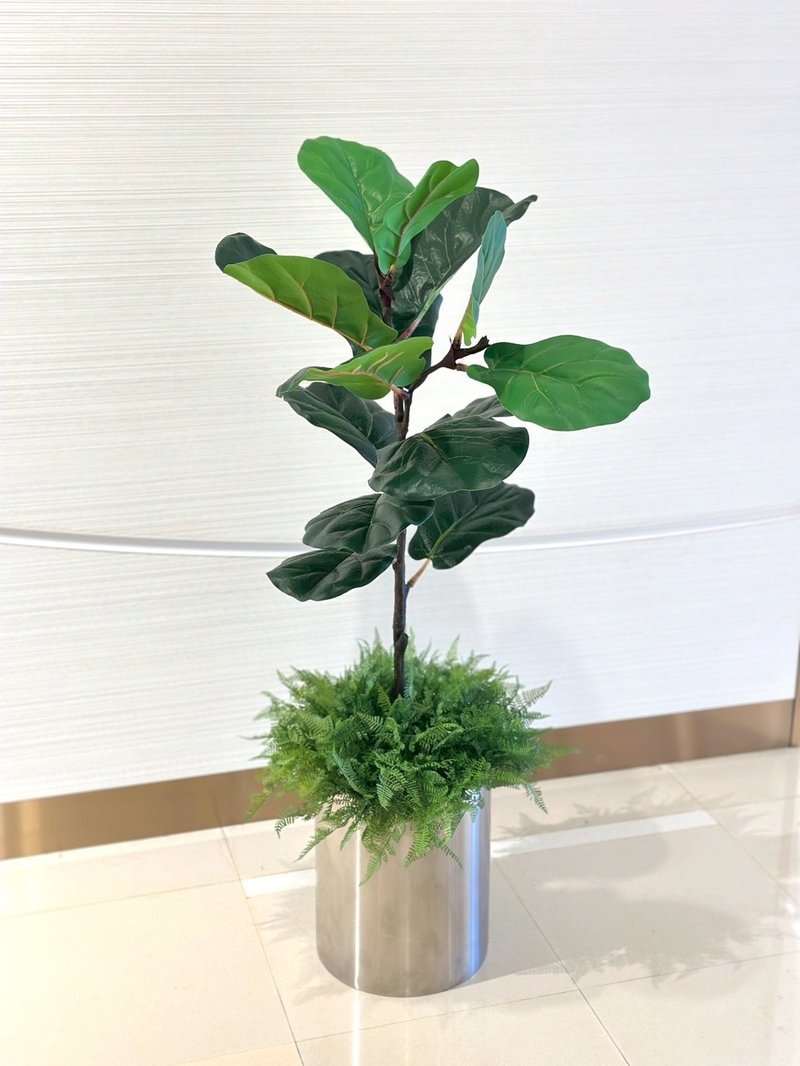 特級琴葉榕不鏽鋼盆器 免運專人配送限雙北市 其餘地區需補運費 - 盆栽/植栽 - 其他材質 綠色