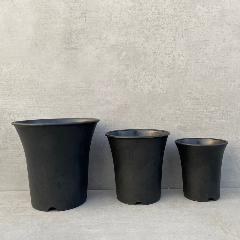 Succulent potted plants (2.4-4 inches) | High round pot | Succulent pots with root pots and apricot pots Tianzhang pots - Plants - Other Materials 