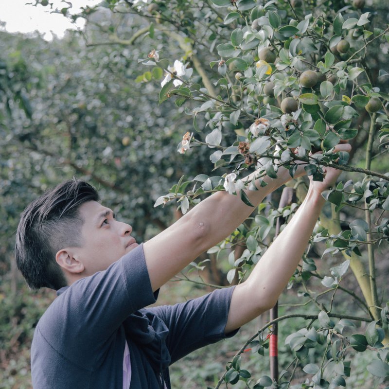 7/3 跨界講座・茶籽堂・印花樂・蔥澡・只是・島內散步・幸福果食 - 攝影/心靈/講座 - 其他材質 
