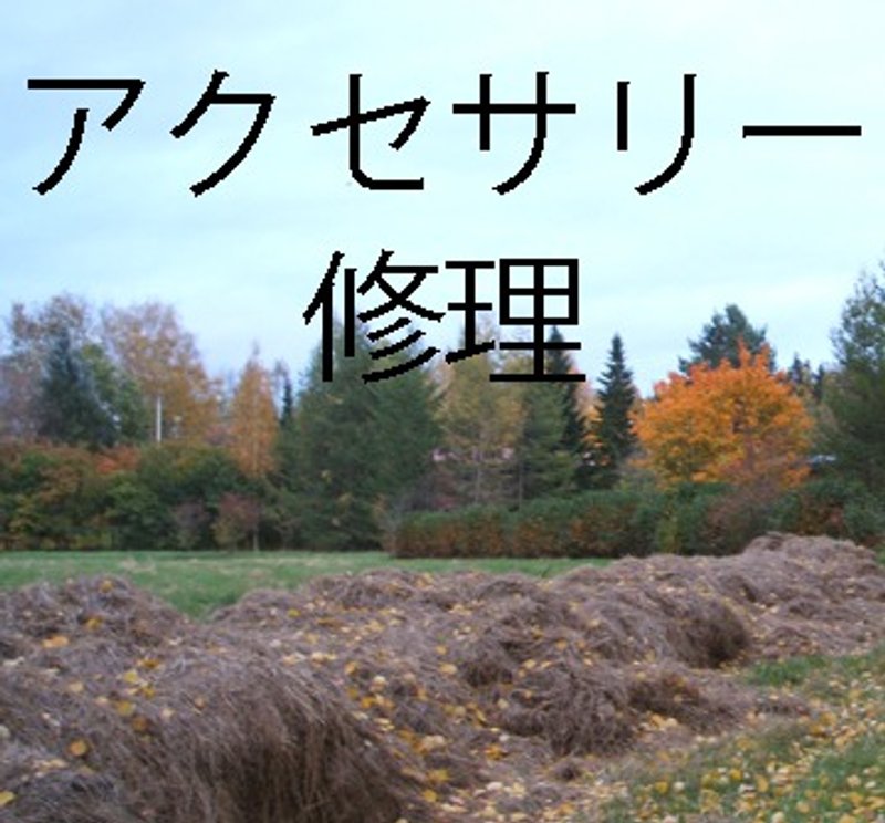 A様オーダーページ - 髮圈/髮夾 - 其他材質 