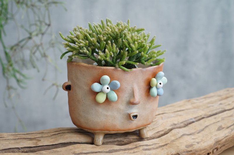 Succulent Pots Ceramic Planter Face , Flower planter - 花瓶/花器 - 陶 多色