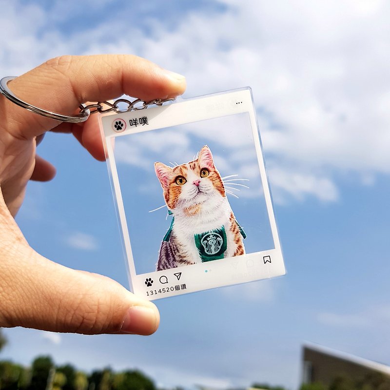 [Electronic file | Add-on items] Pet Acrylic Charm IG Style - Keychains - Plastic 