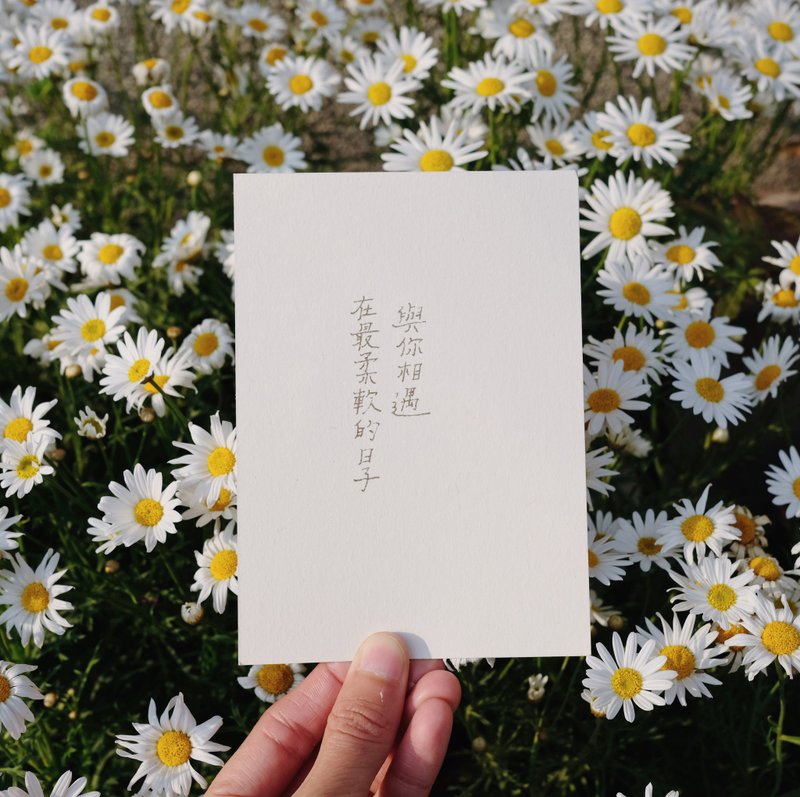 很願意的人。在最柔軟的日子與你相遇 文字明信片 青青的島 - 卡片/明信片 - 紙 