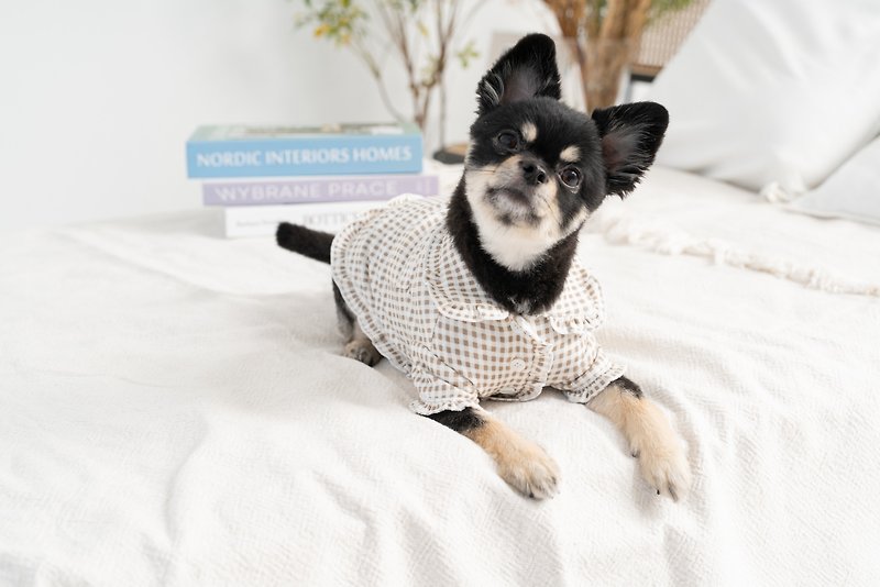 Checkered clothes for dogs brown - Clothing & Accessories - Other Materials 