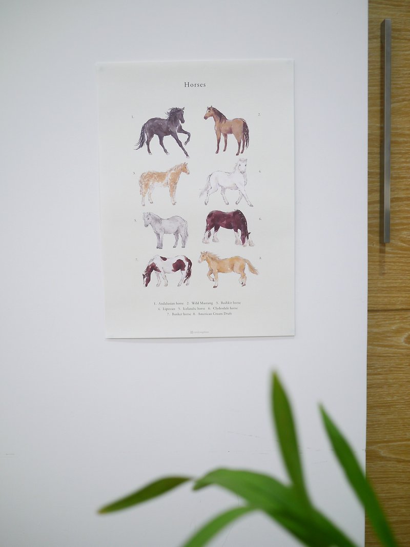 horse animal poster - โปสเตอร์ - กระดาษ 