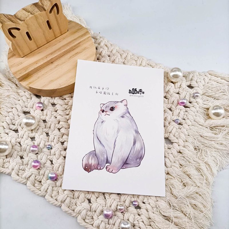 ME182-A60_我紙在乎你百喵圖鑑系列明信片_postcard - 卡片/明信片 - 紙 多色