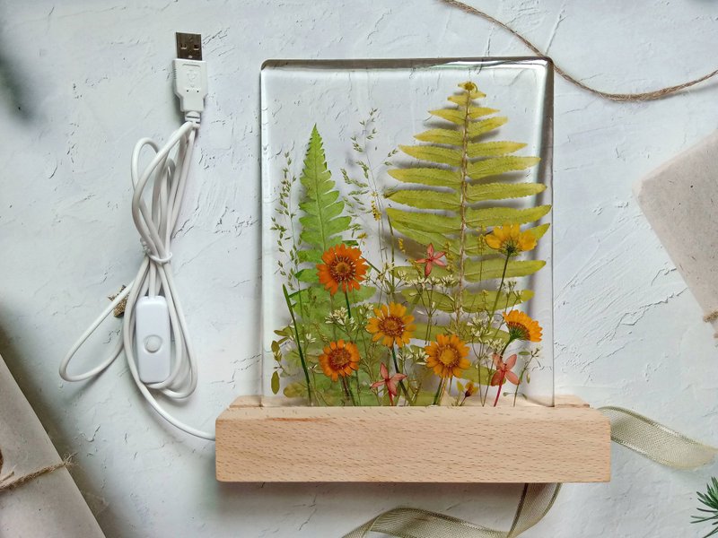 手作押花療愈LED小夜燈 | 花花草草 - 燈具/燈飾 - 樹脂 多色