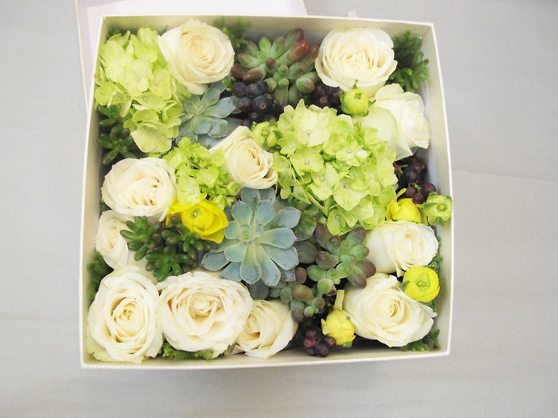 Flower Box-Green Purity - Plants - Plants & Flowers Yellow