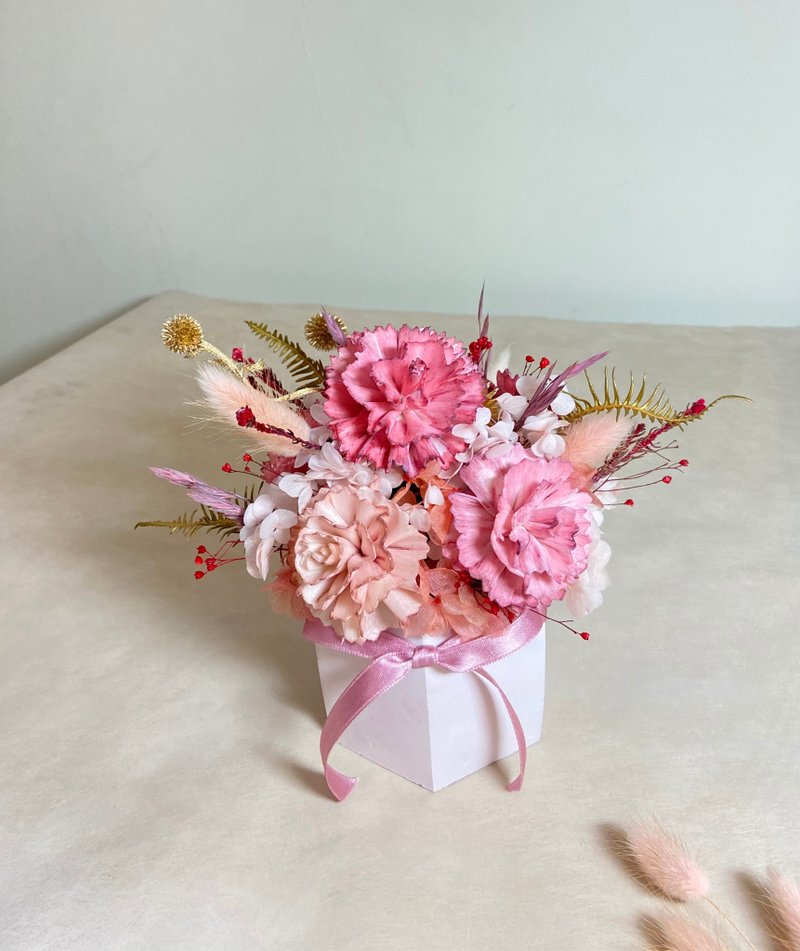 康乃馨盆花 乾燥盆花 母親節禮物 生日禮物 開幕花禮 - 擺飾/家飾品 - 植物．花 多色