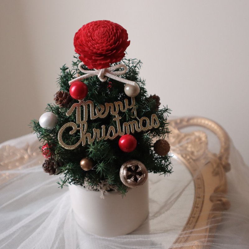 \Pre-order discount/ Mini everlasting Christmas tree, no choice Christmas gift, - Dried Flowers & Bouquets - Plants & Flowers 