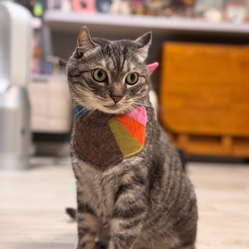 寵物披肩 - 寵物衣服 - 棉．麻 多色