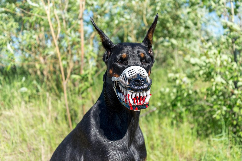 White Werewolf Dog muzzle Scary Doberman muzzles Pet Gift Halloween Costume Mask - อื่นๆ - พลาสติก 