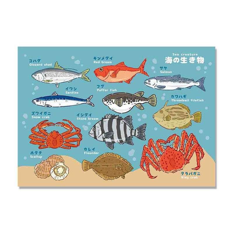 A4圖鑑海報-海底圖鑑(2款) - 海報/掛畫/掛布 - 紙 