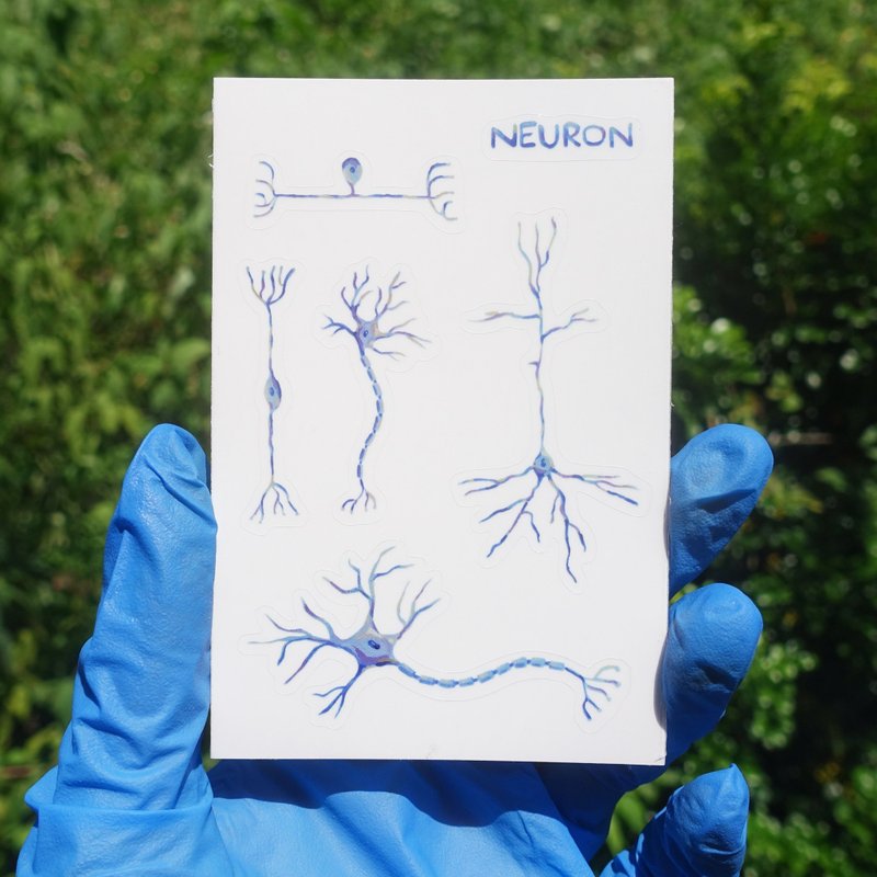 Neurons-Hand-painted Biology Transparent Stickers 1 Pack - สติกเกอร์ - กระดาษ สีน้ำเงิน