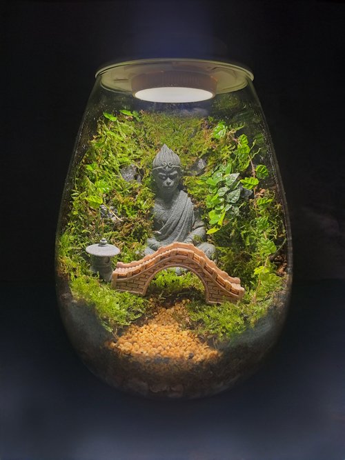 太陽療癒工作坊 【苔療癒】豪華生態瓶DIY材料包/母親節禮物