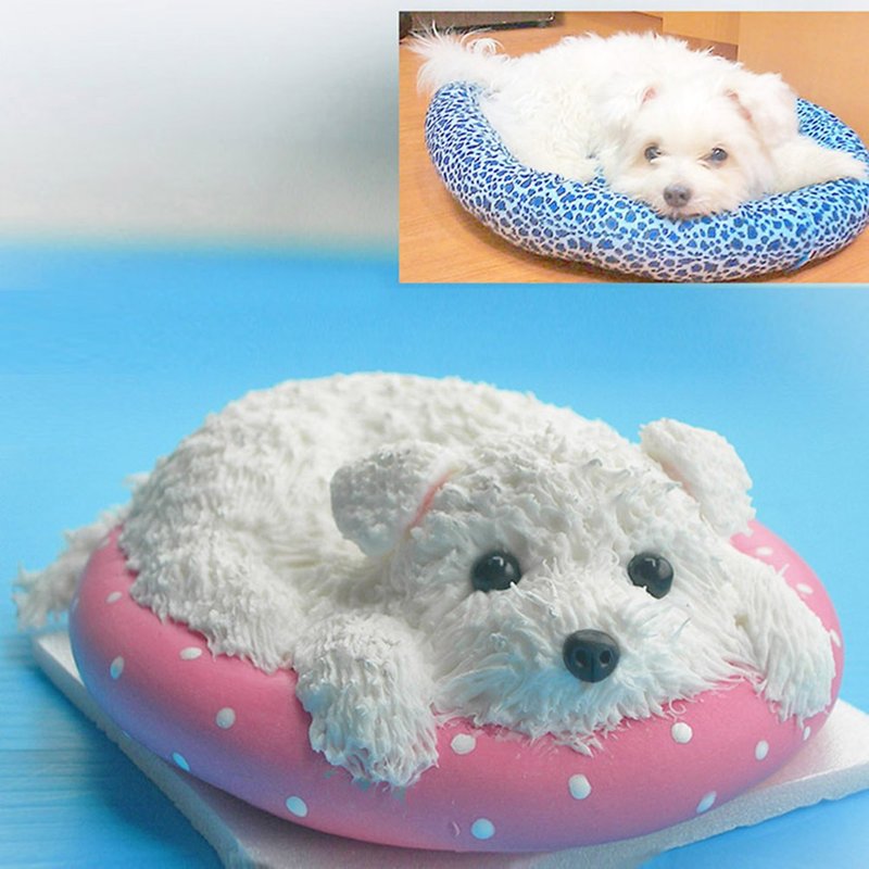 Maltese lies on the bed - Other - Clay 