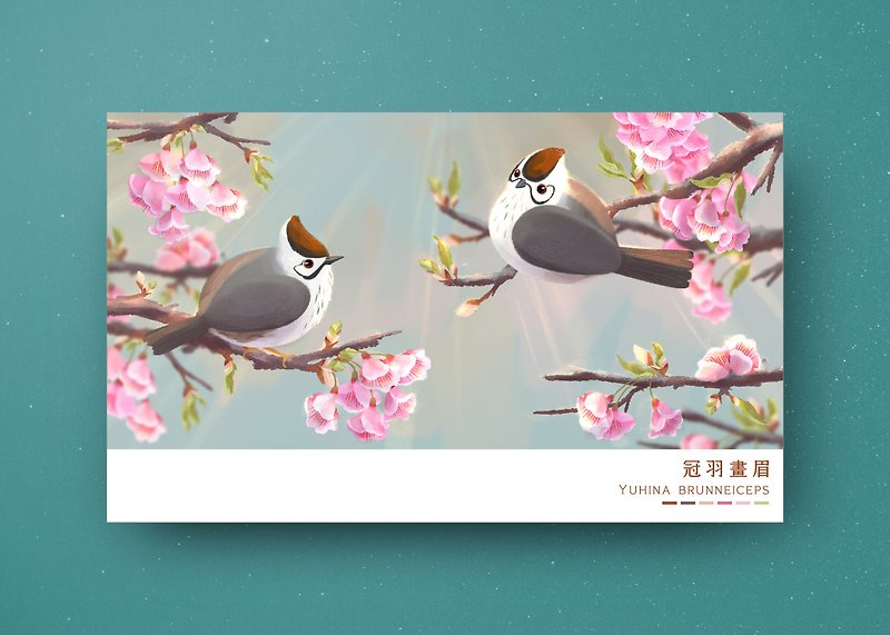 Taiwan wild birds postcard - Yuhina brunneiceps - การ์ด/โปสการ์ด - กระดาษ หลากหลายสี