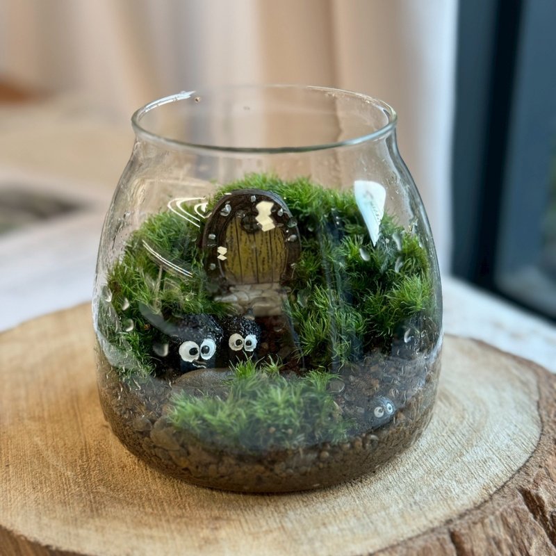 【新竹自取】精靈之門 苔蘚缸.生態缸.造景 - 盆栽/植栽 - 植物．花 綠色