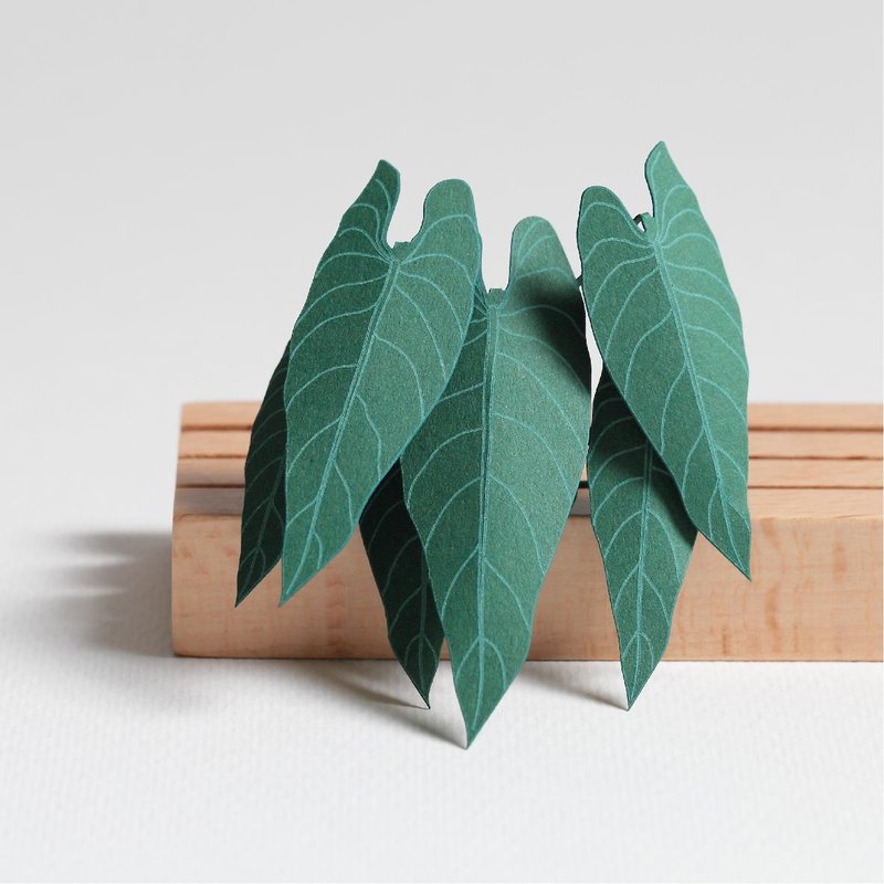 【3D Plant Sticker】Philodendron melanoch (605035) - FingerART Paper Art and Craft - Stickers - Paper Green