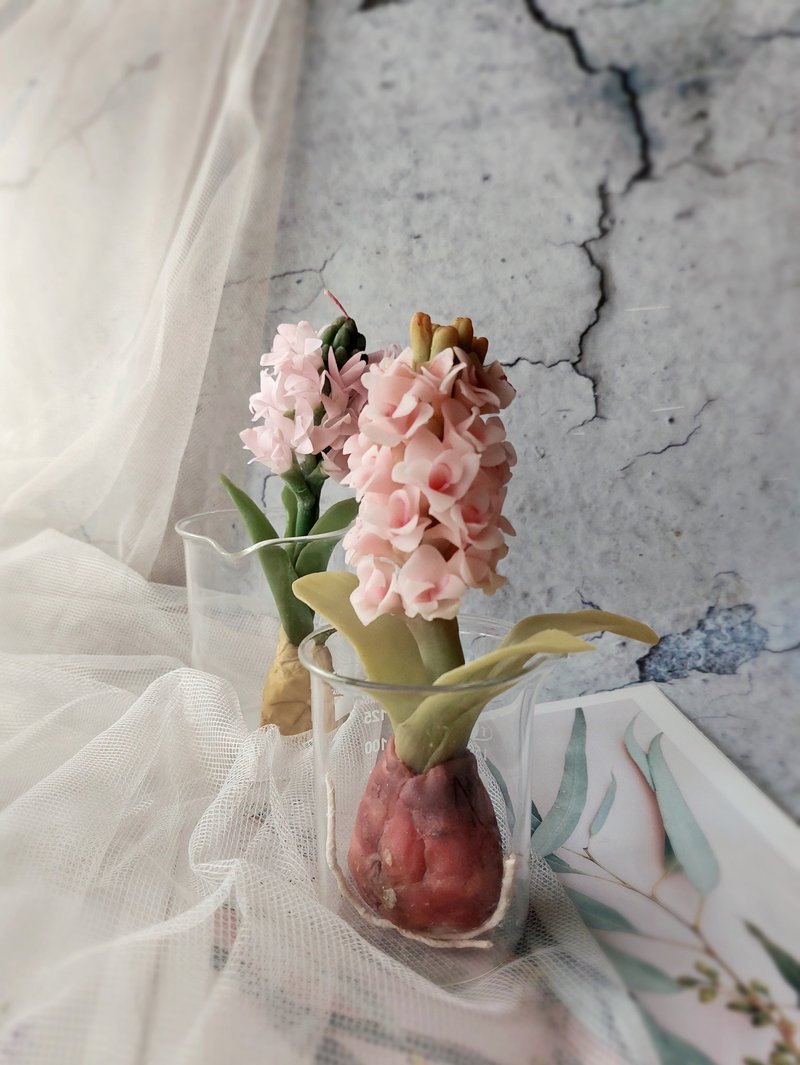 蜜蠟花課程 風信子 球根植物 1人開班 - 蠟燭/香氛/調香 - 蠟 