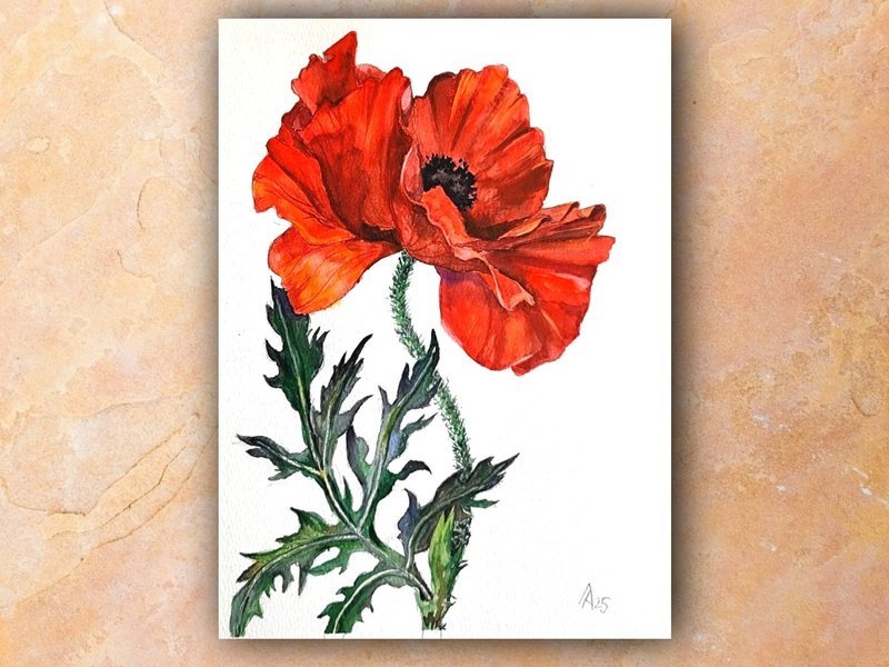 Red poppy painting original watercolor art floral artwork flower 19.5 by 27 cm - Posters - Paper Red