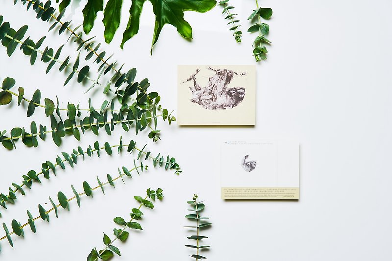 Maned sloth. Endangered Species: Postcard / A card= A donation - การ์ด/โปสการ์ด - กระดาษ สีเหลือง