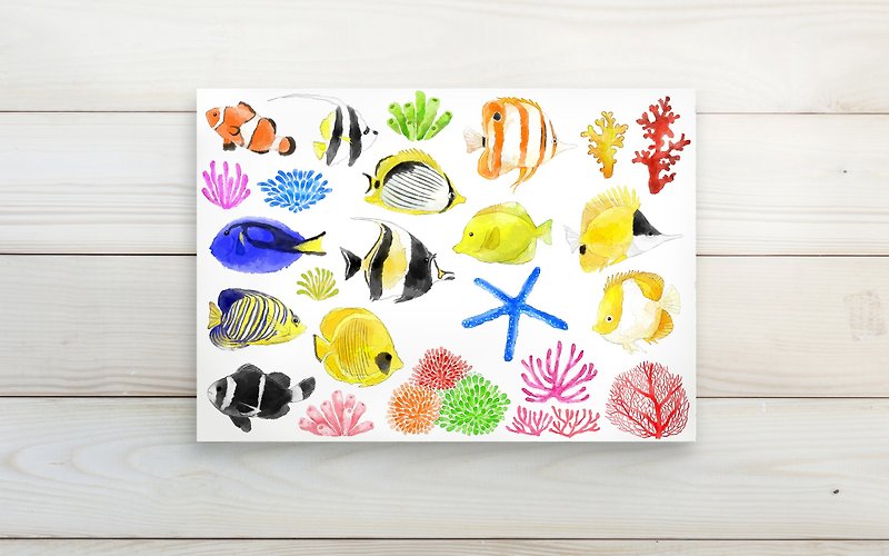 グレートバリアリーフ、熱帯の魚のイラスト/はがきはがき - カード・はがき - 紙 